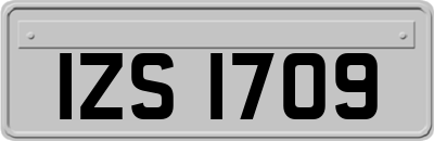 IZS1709