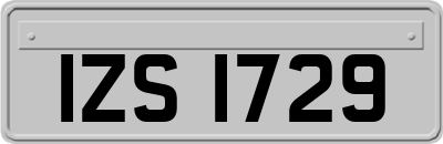 IZS1729
