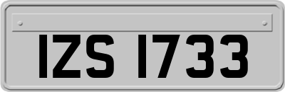IZS1733