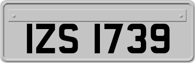 IZS1739