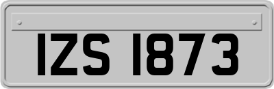 IZS1873
