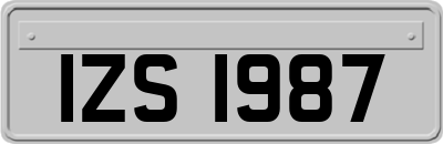 IZS1987