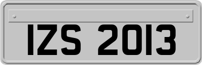 IZS2013