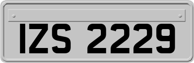 IZS2229