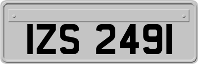 IZS2491