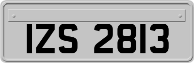 IZS2813