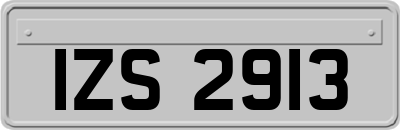 IZS2913