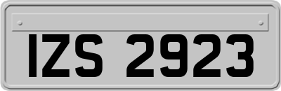 IZS2923