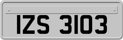 IZS3103