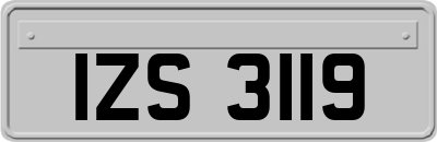 IZS3119