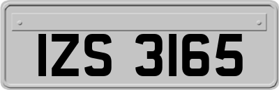 IZS3165