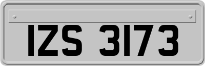 IZS3173