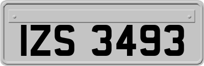 IZS3493