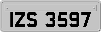 IZS3597
