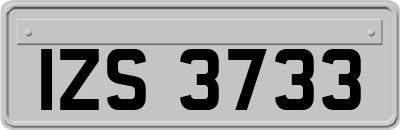 IZS3733