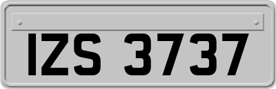 IZS3737