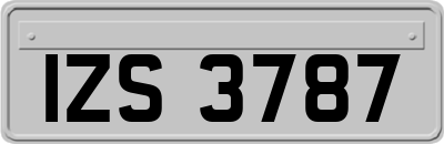 IZS3787