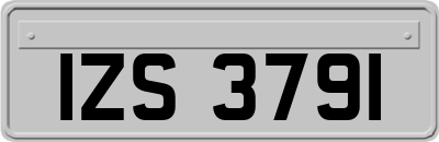 IZS3791