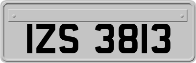 IZS3813