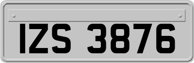 IZS3876