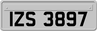 IZS3897