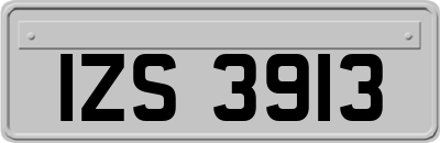 IZS3913