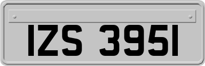 IZS3951