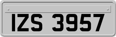 IZS3957