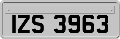 IZS3963