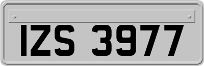 IZS3977