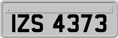 IZS4373