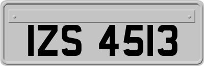 IZS4513