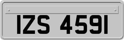 IZS4591