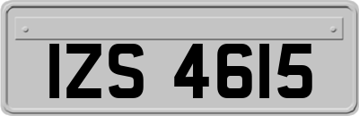 IZS4615