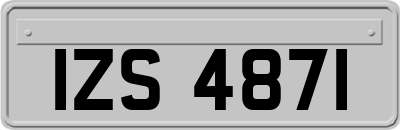 IZS4871