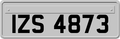 IZS4873