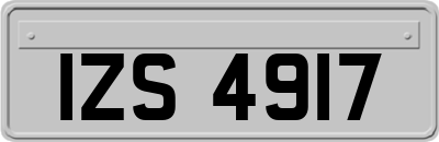 IZS4917