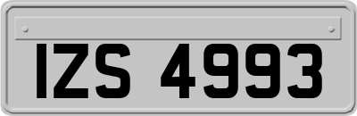 IZS4993