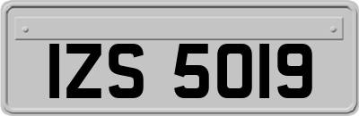 IZS5019