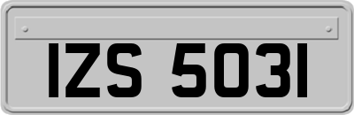 IZS5031