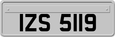 IZS5119
