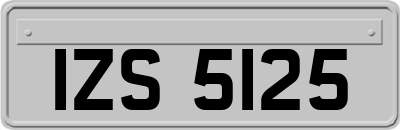 IZS5125