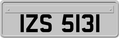 IZS5131