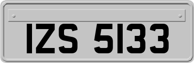 IZS5133