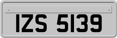 IZS5139