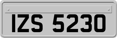 IZS5230