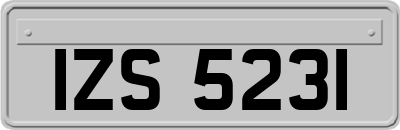 IZS5231