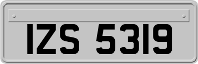 IZS5319