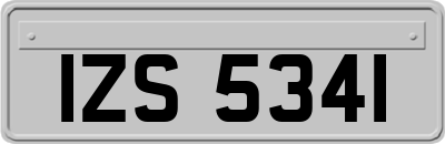 IZS5341