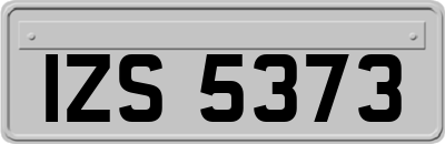 IZS5373